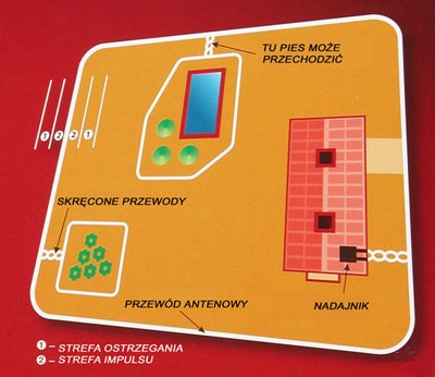 Ogrodzenie dla psa